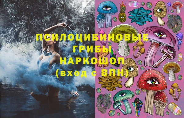 эйфоретик Каменногорск