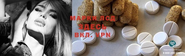 прущие грибы Карпинск