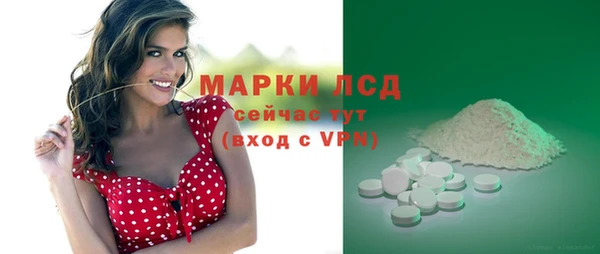прущие грибы Карпинск