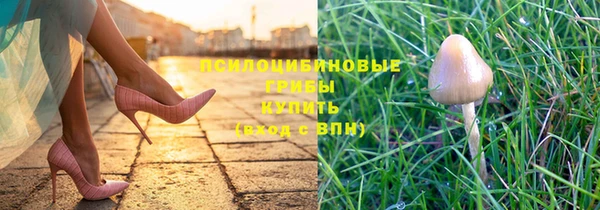 прущий лед Касимов