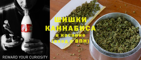 эйфоретик Каменногорск