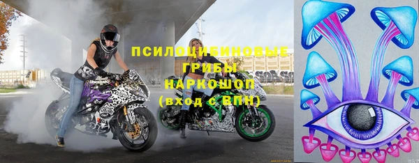 эйфоретик Каменногорск