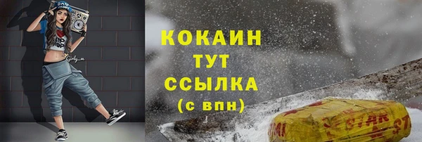 твердый Каменск-Шахтинский